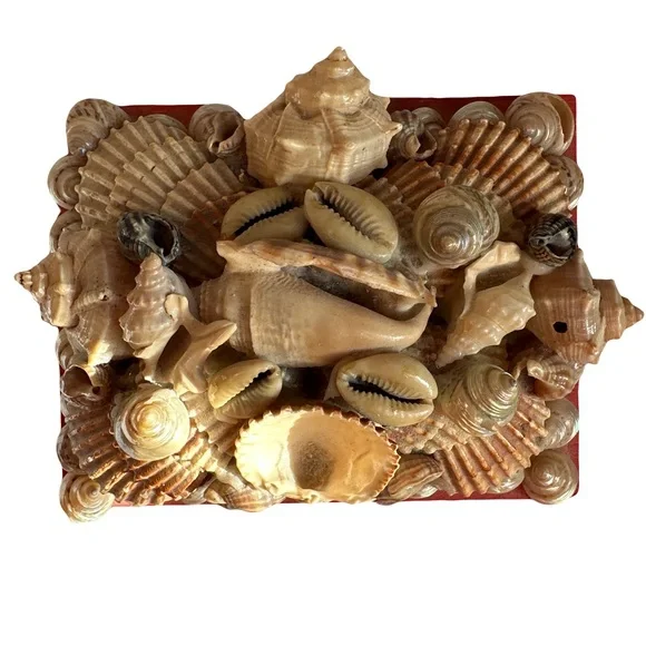 Vintage Red Seashell Embellished Jewelry Box with Mirror